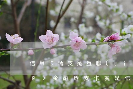 信用卡透支是互聯(lián)網(wǎng)金融(透支卡就是信用卡嗎)