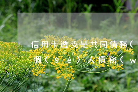 信用卡透支是共同債務(wù)嗎(信用卡是個(gè)人債務(wù)還是共同債務(wù))