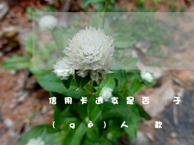 信用卡透支是否屬于貸款(信用卡透支屬于個(gè)人貸款嗎)