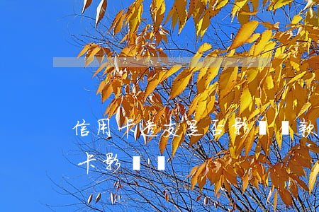 信用卡透支是否影響貸款嗎(銀行貸款有信用卡影響嗎)