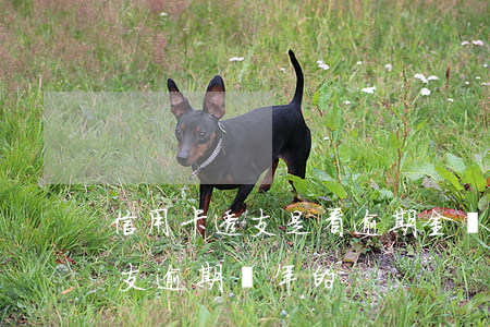 信用卡透支是看逾期金額嗎(有沒有信用卡透支逾期兩年的)