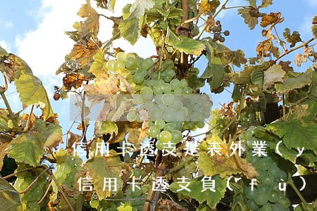 信用卡透支是表外業(yè)務(wù)嘛(信用卡透支負(fù)債什么意思)