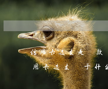 信用卡透支是貸款業(yè)務(wù)(信用卡透支屬于什么信用)