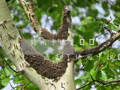 信用卡透支暫時(shí)還不上能分期嗎-透支了信用卡但無(wú)力償還會(huì)怎么樣