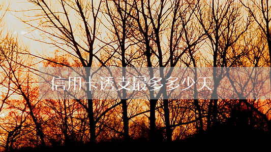 信用卡透支最多多少天