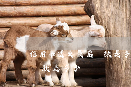 信用卡透支最底還款是多少(信用卡透支最底還款是多少)