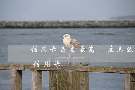 信用卡透支最高額度怎么查(透支額度最大的信用卡)