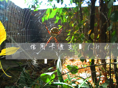 信用卡透支會(huì)留案底嗎(信用卡透支會(huì)留案底嗎)
