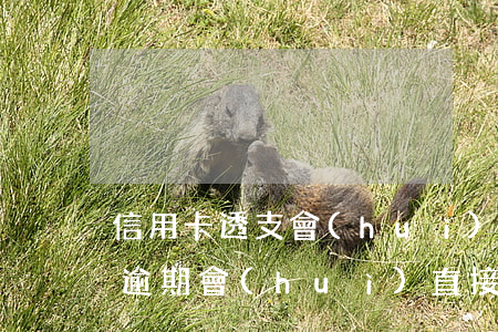信用卡透支會(huì)額外扣錢嗎(信用卡逾期會(huì)直接扣其他卡里的錢嗎)