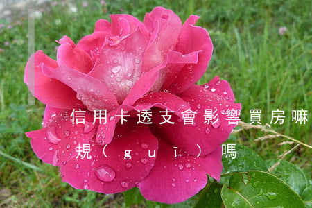 信用卡透支會影響買房嘛(信用卡透支買房違規(guī)嗎)