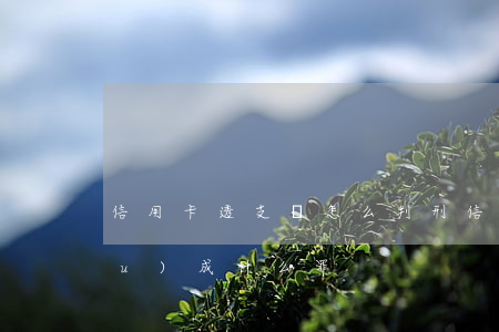 信用卡透支會怎么判刑(信用卡透支構(gòu)成什么罪)