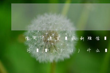 信用卡透支會收到短信嗎(信用卡惡意透支銀行會發(fā)什么樣的短信)
