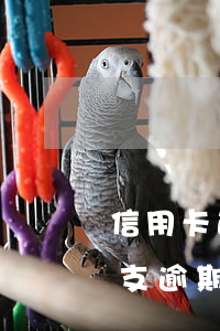 信用卡透支有沒有逾期(2020年信用卡透支逾期會抓人嗎)