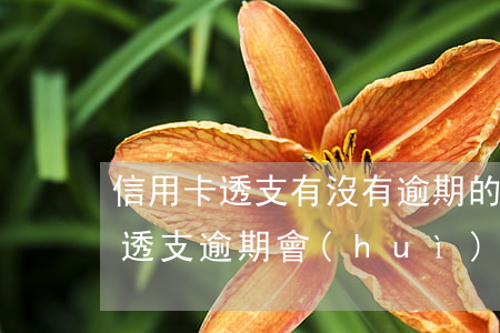 信用卡透支有沒有逾期的 2020年信用卡透支逾期會(huì)抓人嗎