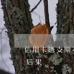 信用卡透支期不還怎么辦(信用卡透支不還的后果)