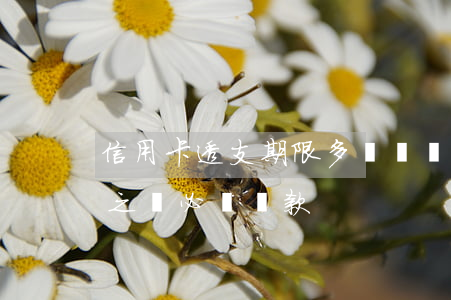 信用卡透支期限多長時間(信用卡透支后多久之內必須還款)