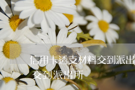 信用卡透支材料交到派出所(信用卡透支材料交到派出所)