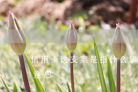 信用卡透支案是指什么(銀行信用卡透支什么意思)