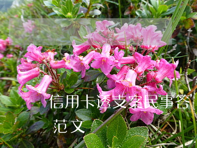 信用卡透支案民事答辯書(信用卡糾紛答辯狀范文)