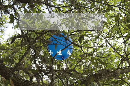 信用卡透支構(gòu)成刑事犯罪(信用卡透支刑事標(biāo)準(zhǔn))