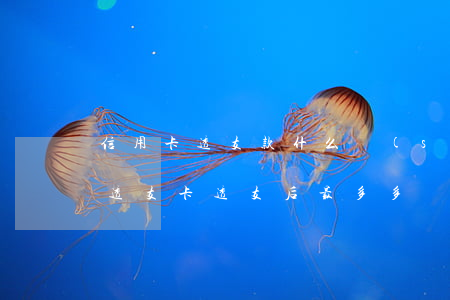 信用卡透支款什么時(shí)候還款(銀行透支卡透支后最多多長時(shí)間還款?)