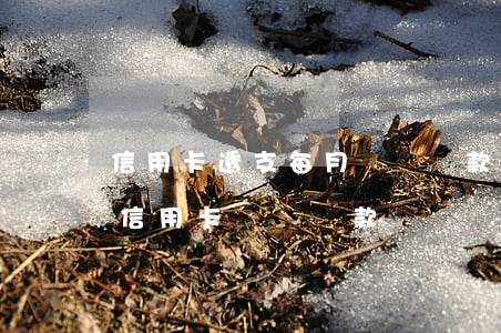 信用卡透支每月幾號還款日(每個(gè)月信用卡幾號還款)