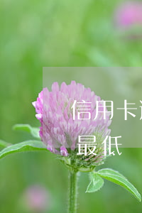 信用卡透支每月還一兩百(信用卡透支一萬元最低還款多少)