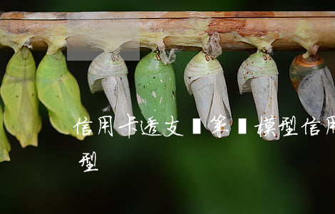 信用卡透支決策樹模型(信用卡透支決策樹模型)