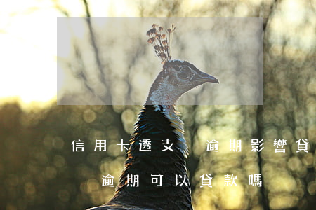 信用卡透支沒逾期影響貸款嘛(有信用卡欠款沒逾期可以貸款嗎)
