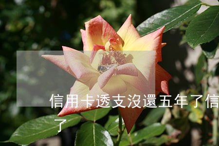 信用卡透支沒還五年了(信用卡透支沒還五年了)