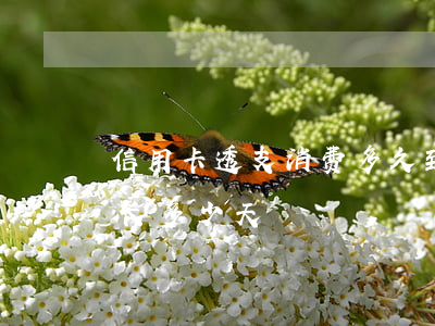 信用卡透支消费多久到账(信用卡透支时间最长多少天)