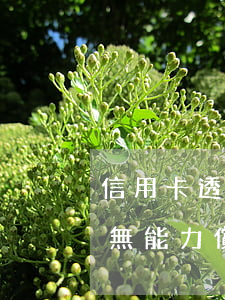 信用卡透支無力償還該怎么(透支卡欠款太多無能力償還怎么處理)