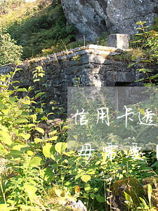 信用卡透支父母應該還嗎(兒子透支信用卡父母需要償還嗎)