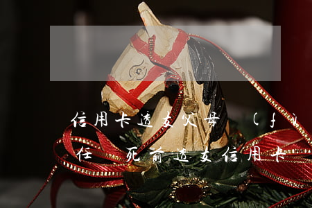 信用卡透支父母負(fù)什么責(zé)任(臨死前透支信用卡給父母)