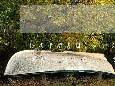 信用卡透支現(xiàn)金利息多少錢(一般的信用卡可以透支多少錢)