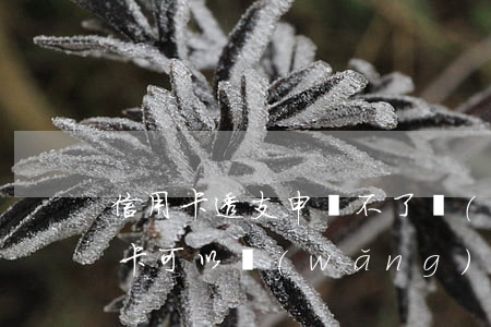 信用卡透支申請不了網(wǎng)貸(信用卡可以網(wǎng)上透支嗎)