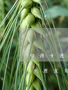 信用卡透支當(dāng)事人還不起(信用卡透支后無力償還)