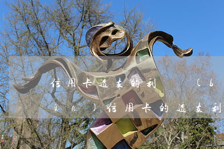 信用卡透支的利潤標(biāo)準(zhǔn)(信用卡的透支利息)