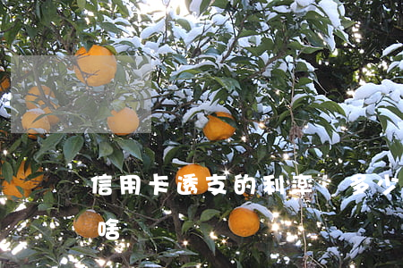 信用卡透支的利率為多少(信用卡透支利率是啥)