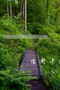 信用卡透支的美金怎么還款(信用卡外幣還款)
