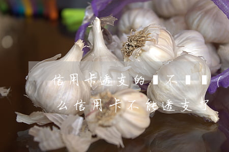 信用卡透支的錢不還會(huì)怎樣(為什么信用卡不能透支了)