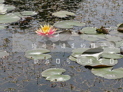 信用卡透支的錢可以分期還嗎(信用卡分期付款后還可以透支嗎)