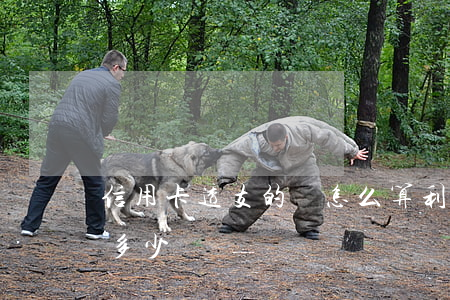 信用卡透支的錢怎么算利息(銀行卡透支利息多少)