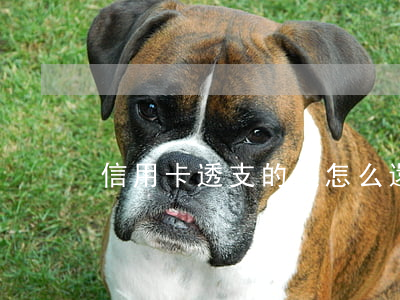 信用卡透支的錢怎么還上錢