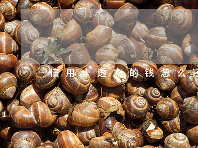 信用卡透支的钱怎么还上钱