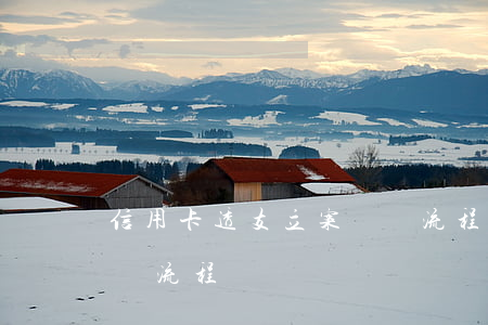 信用卡透支立案標準流程(信用卡透支立案標準流程)
