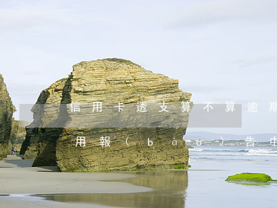 信用卡透支算不算逾期記錄(個(gè)人信用報(bào)告中的逾期(透支))