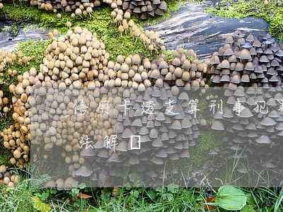 信用卡透支算刑事犯罪嗎(信用卡透支犯罪司法解釋)