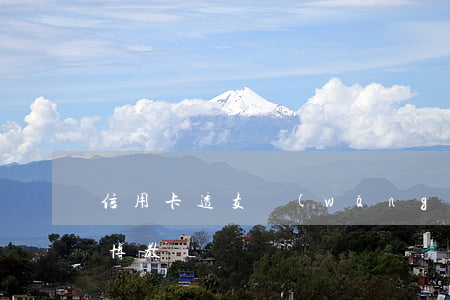 信用卡透支網(wǎng)絡(luò)賭博教師