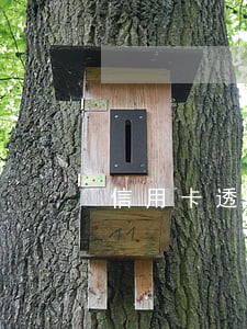 信用卡透支緩刑有案底(涉嫌信用卡透支)